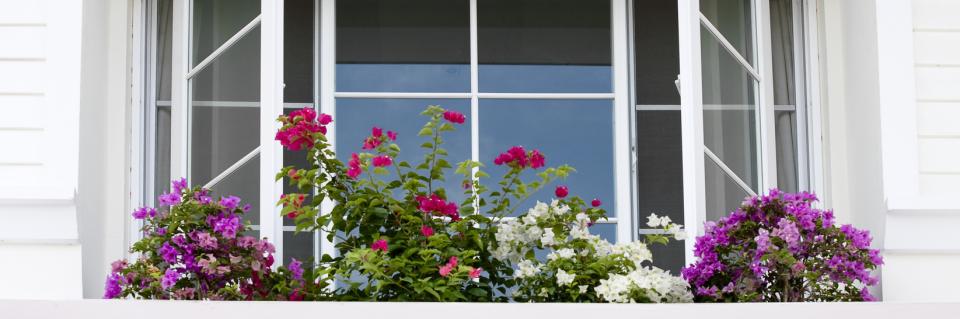 We're happy to install new windows for you. 